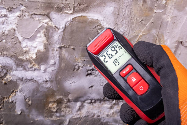 Mold Removal Process in Ocean Gate, NJ
