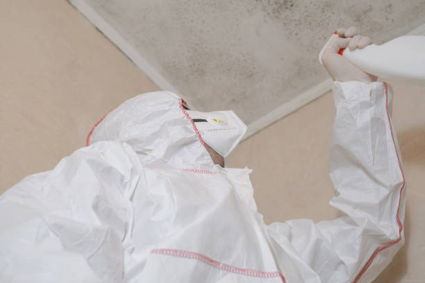 Best Mold Removal Process  in Ocean Gate, NJ
